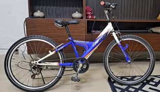 Bridgestone Japanese Bicycle