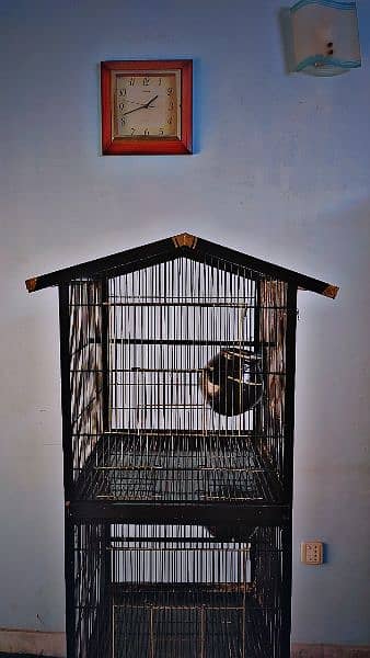 Premium Quality Brand New Unique Bird Cage 1