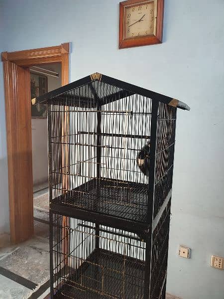 Premium Quality Brand New Unique Bird Cage 6