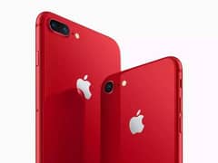 iphone 7 plus best phone for all thing