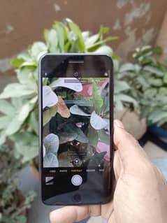 iphone 8 plus 10 by 10 condition