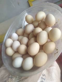 Desi eggs for sale per piece 37.5 .