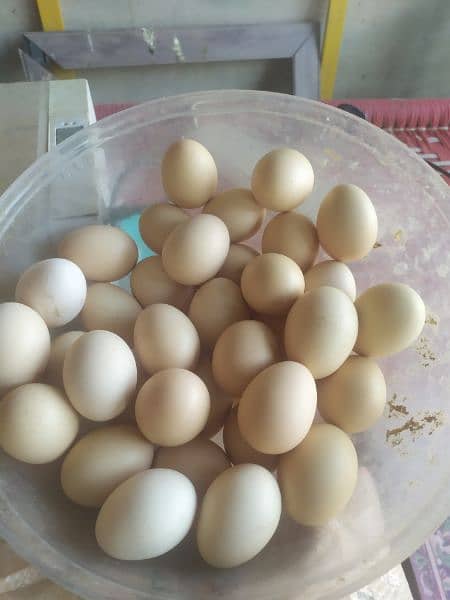 Desi eggs for sale per piece 37.5 . 1