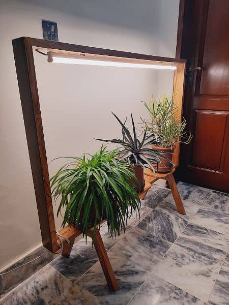 Pure wood Plant Stand with light. 1