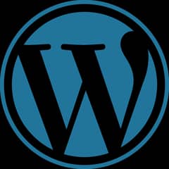 Experienced WordPress Developer 0