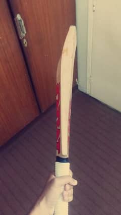 Brand New Condition Hardball Complete equipments with A Grade Bat