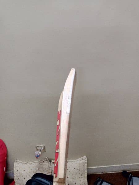Brand New Condition Hardball Complete equipments with A Grade Bat 7