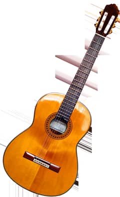 Yamaha C40 II Classical Acoustic Guitar 0