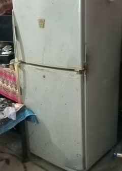 Chrome Pro Hairline Silver
Double Door Refrigerator