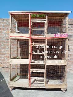 Cages different size . . common lutino red eye breeder pair