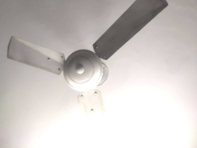 Pure Copper Celling fan 56" for Sale 0