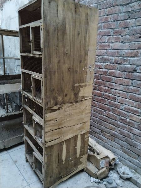 4 portion Aseel / pigeon cage for sale 3