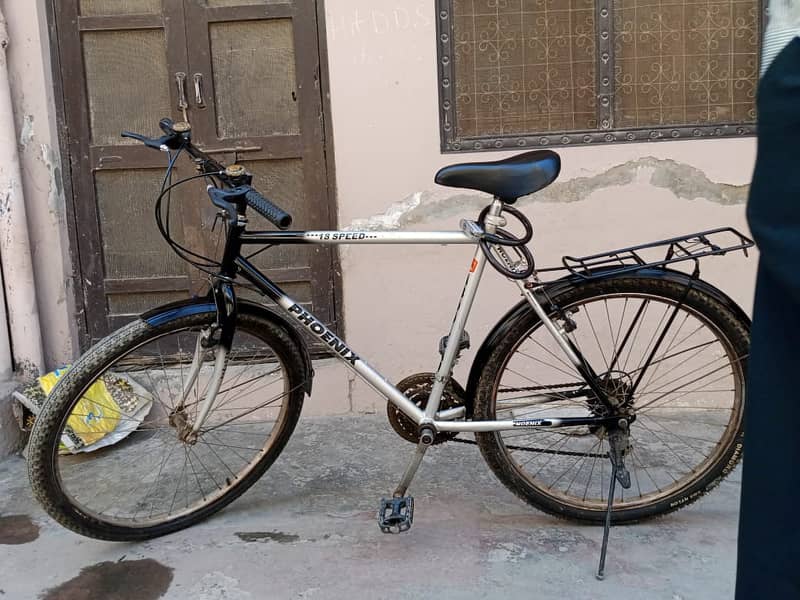 Phoenix Bicycle MTB 1