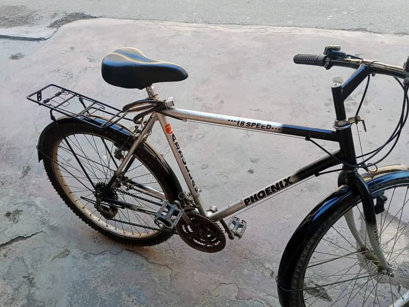 Phoenix Bicycle MTB 5