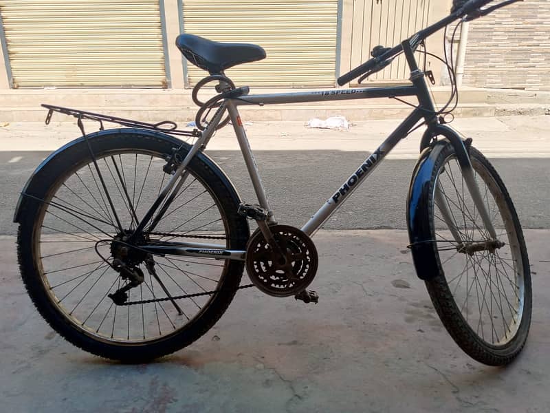 Phoenix Bicycle MTB 6