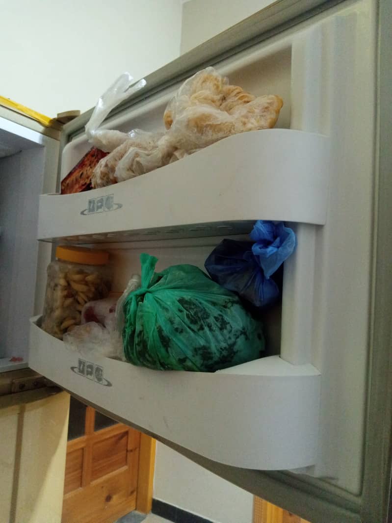 Pel refrigerator, 12ft, best cooling 6