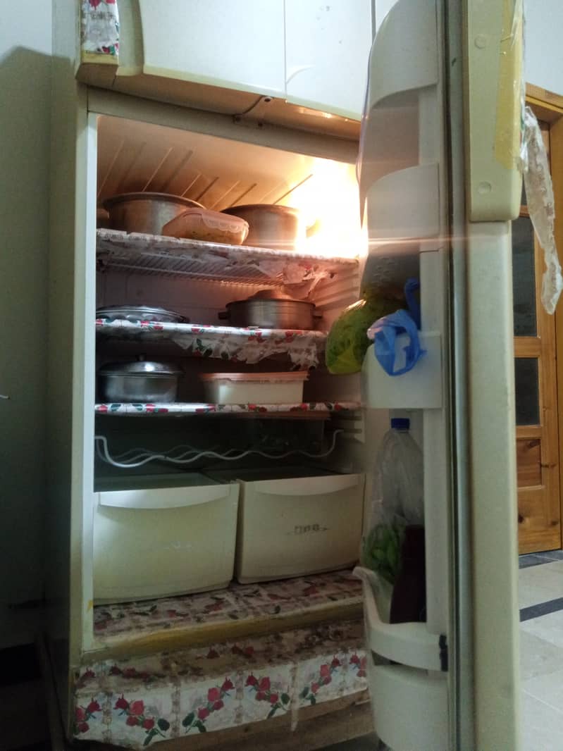 Pel refrigerator, 12ft, best cooling 12