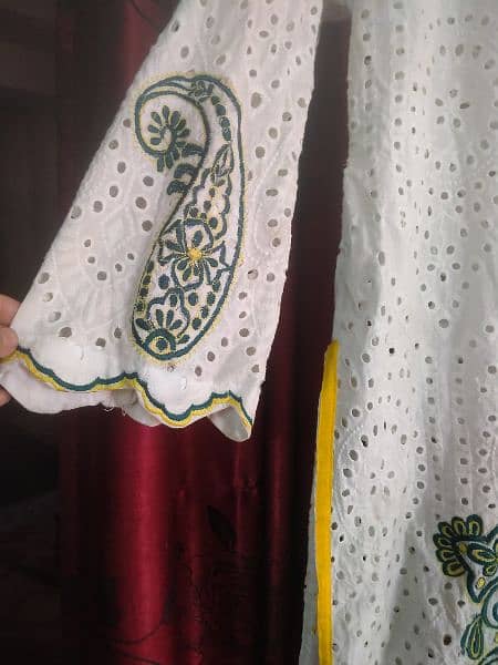 beautiful lawn chicken Kari with embroidered shirt 2