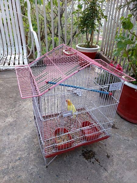 FOLDING CAGES,POTS,MATKI,BOXES,LOVEBIRDS,SEED CLEANER 6