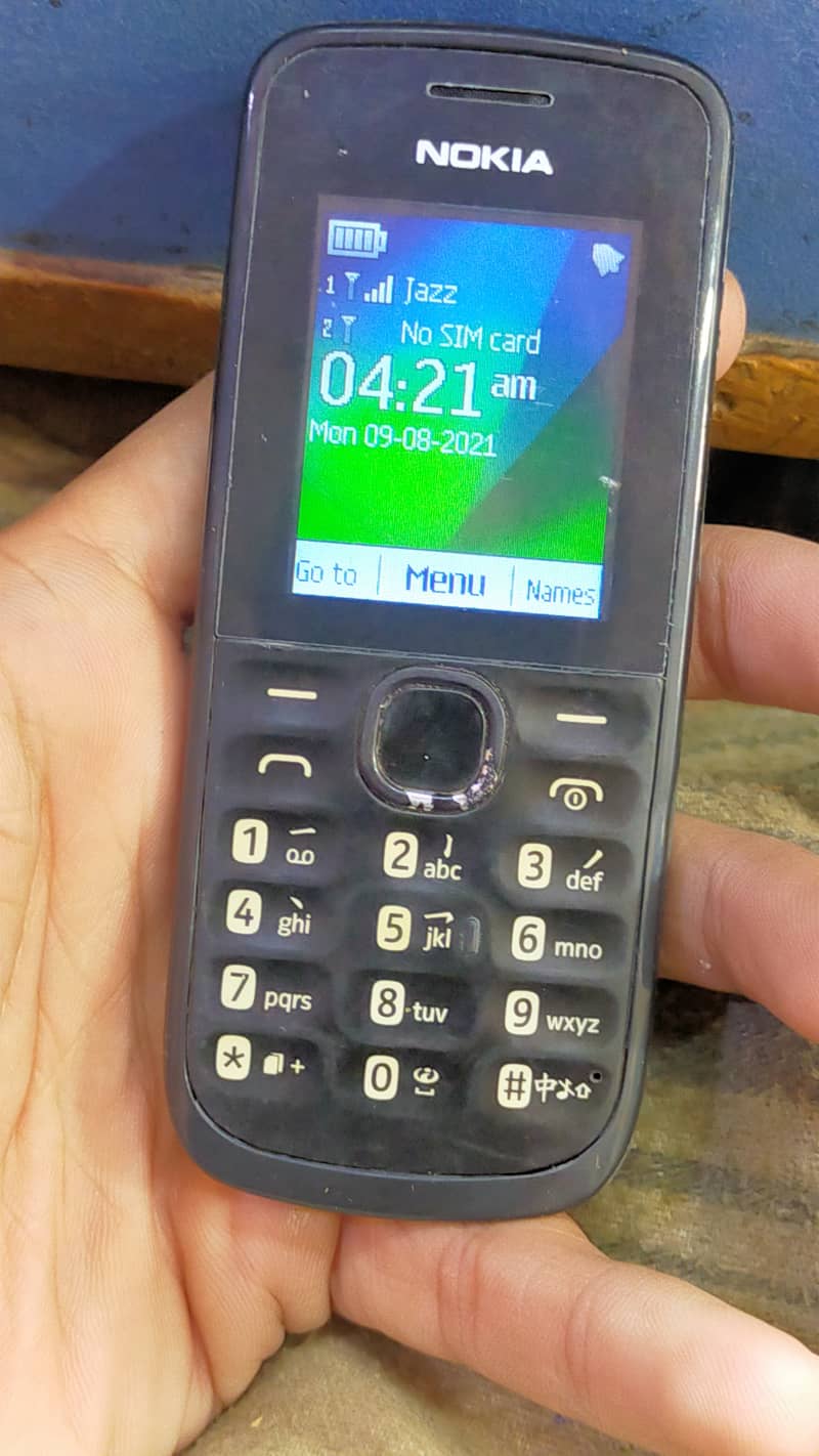 Old Is Gold Nokia 110 2