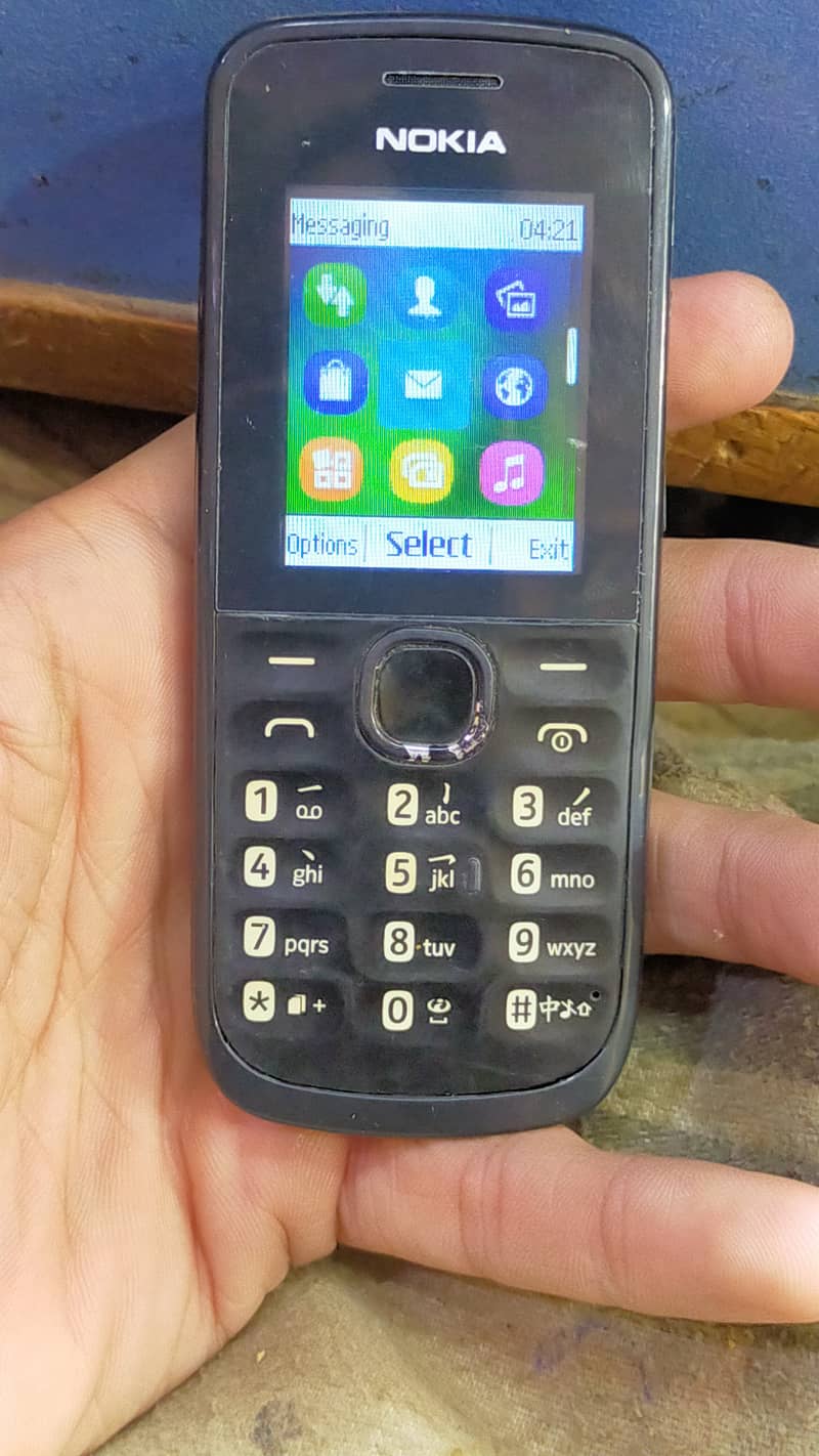 Old Is Gold Nokia 110 3