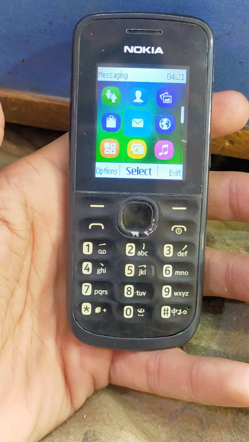 Old Is Gold Nokia 110 4