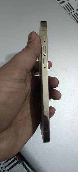 Apple iPhone 12 pro 128gb dual Sim  official PTA with box 1