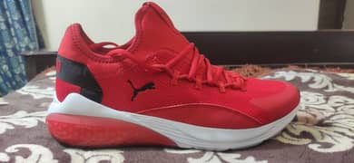 puma shoe