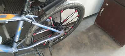 roxy bicycle
