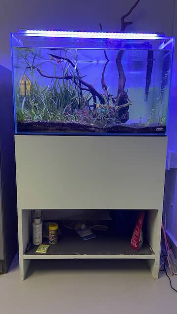 ADA Aquarium for Sale 1