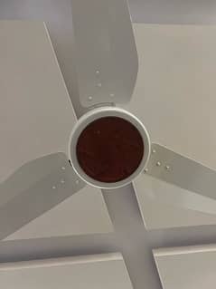 ceiling fan 2 months used only