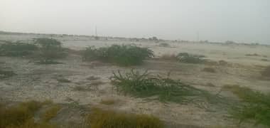 Agricultural Land Of 10 Acre Available In Makran Coastal Highway Moza Chokin Gwadar