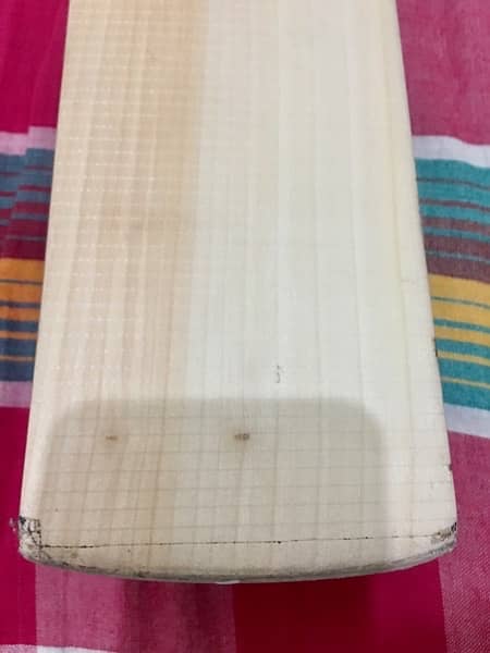 Martin English Willow Professional Bat 4