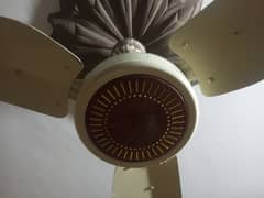 ceiling fan 220 only AC