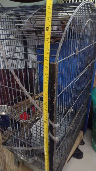 grey parrot cage for sale 7