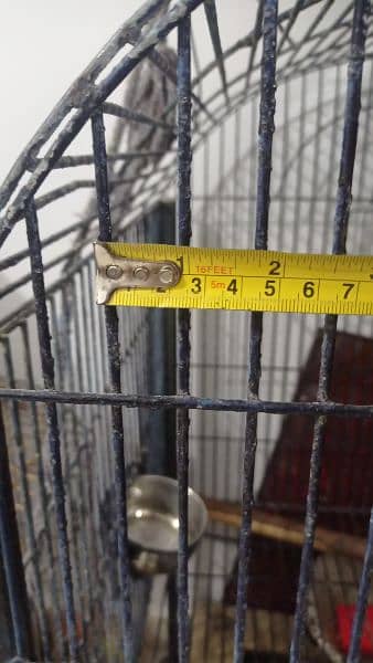 grey parrot cage for sale 9