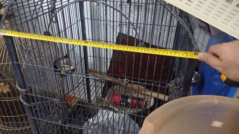 grey parrot cage for sale 10