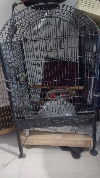 grey parrot cage for sale 11