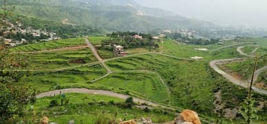 1 Kanal Plot For Sale In Sector D Township Abbottabad 0