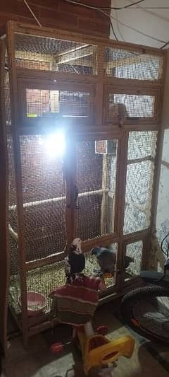 cage birds 6.5feet 0