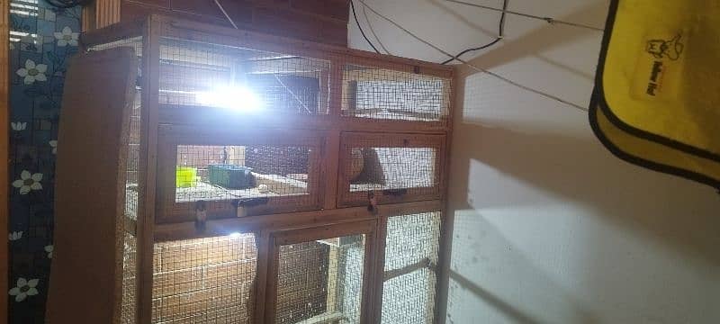 cage birds 6.5feet 1
