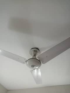selling ceiling fans with pure copper wiring 0