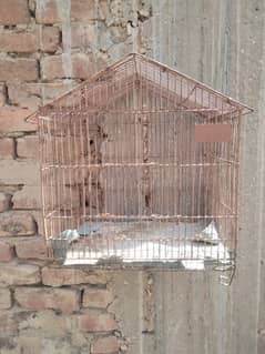 Cage and box and lovebirds