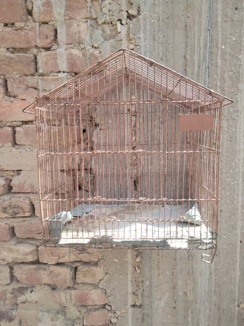 Cage and box and lovebirds 0