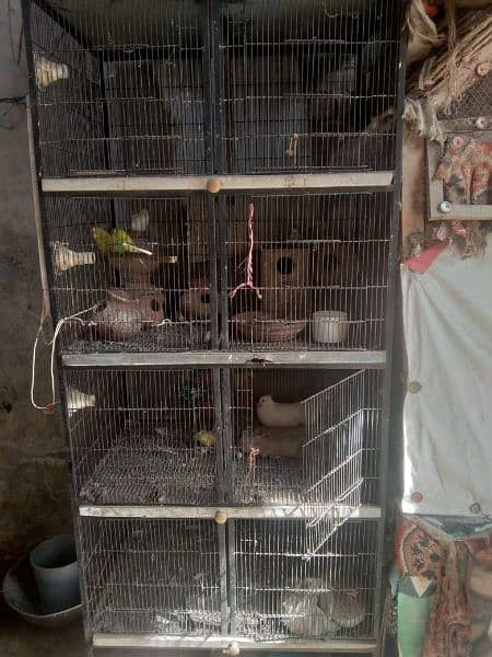Parrot cage Four Portion 0