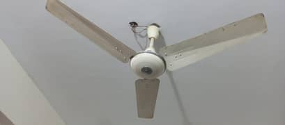 Pak Fan celling fan