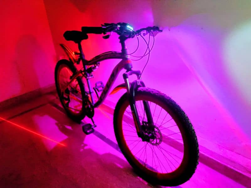 Imported Convertable Fat Bike 9