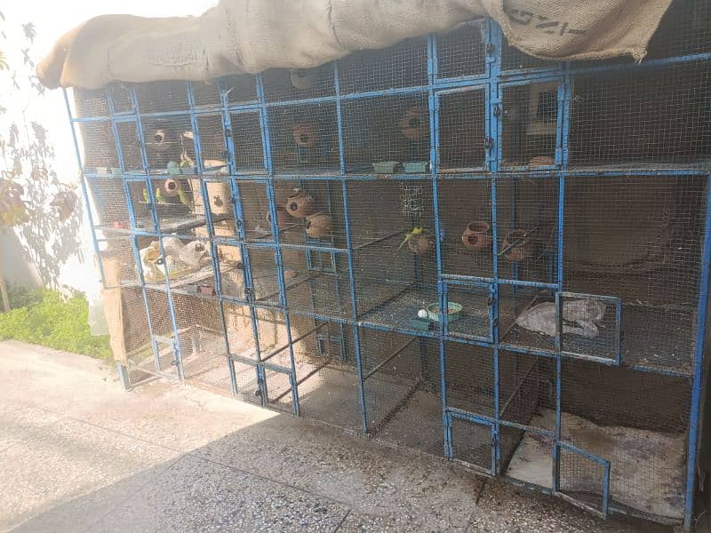 20 portion cage for sale. . . . 6