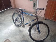 Phoniex bycycle 0