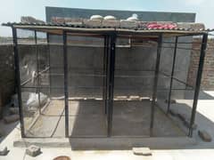 Iron shed cage for birds